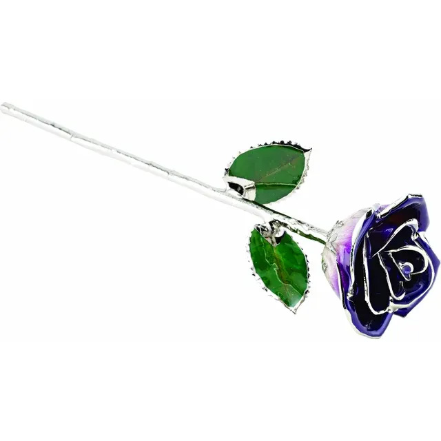 Purple Rose With Platinum Trim