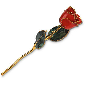 Red Rose With Gold Trim