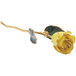 Yellow Rose With Gold Trim